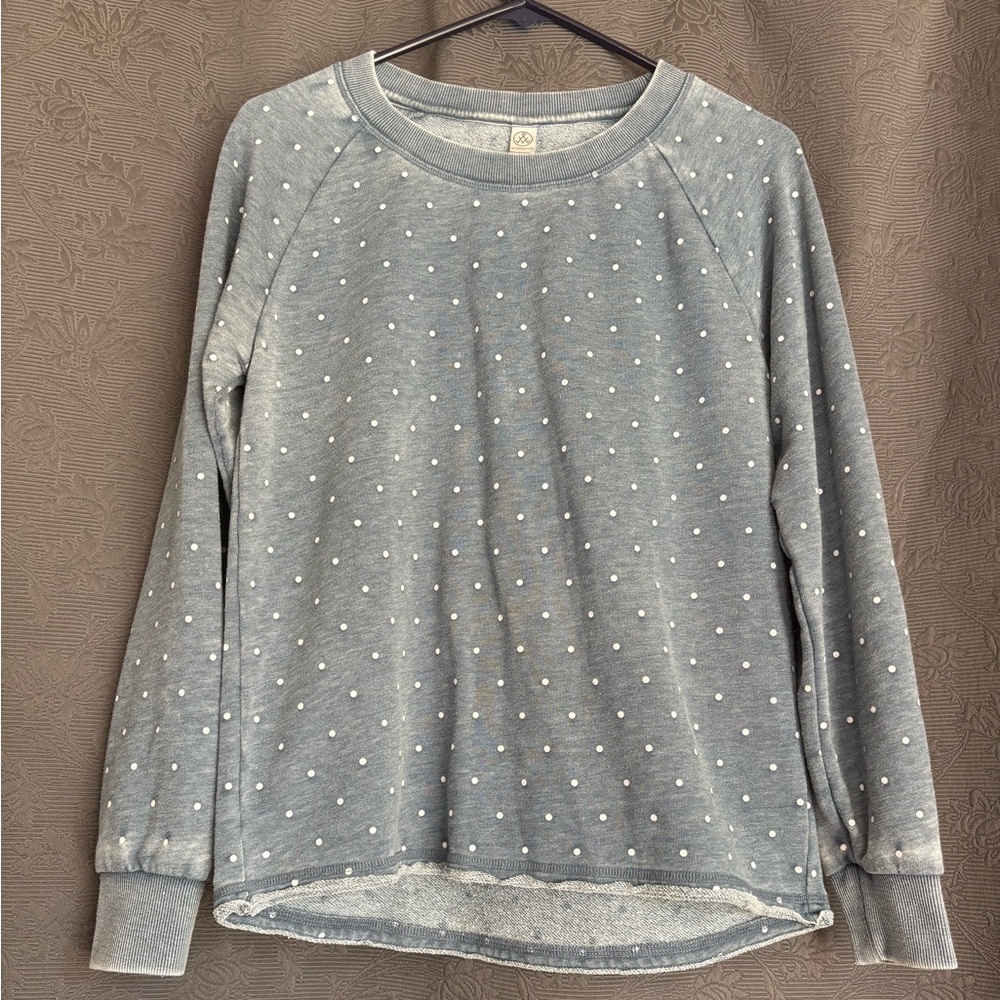 Alternative Gray Polka Dot Sweatshirt